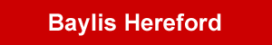 company's logo here
